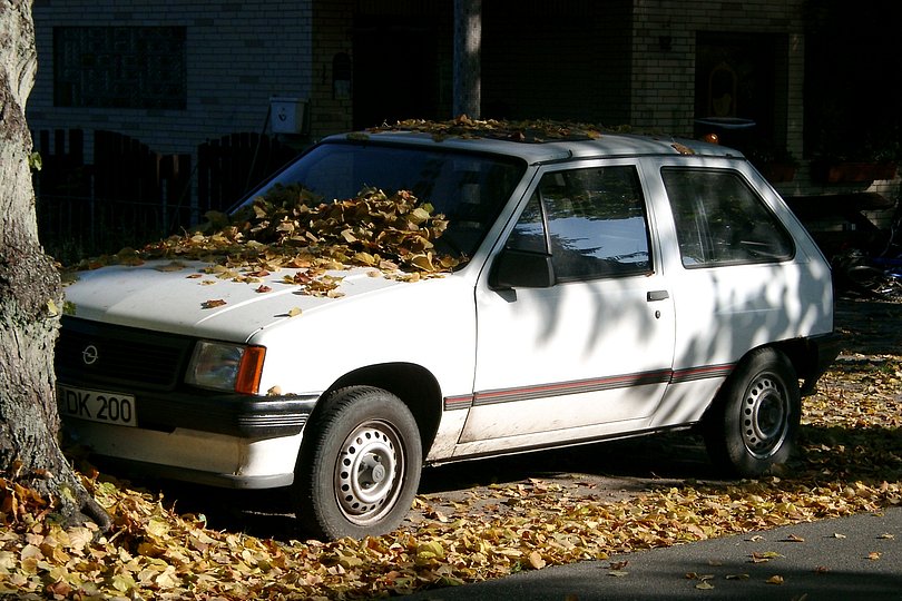 Laubauto