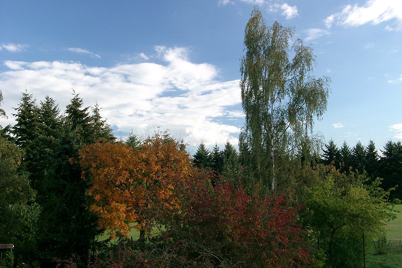 Herbstlandschaft