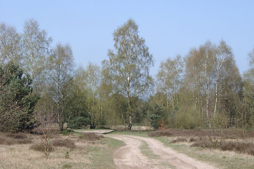 Fr�hlingslandschaft