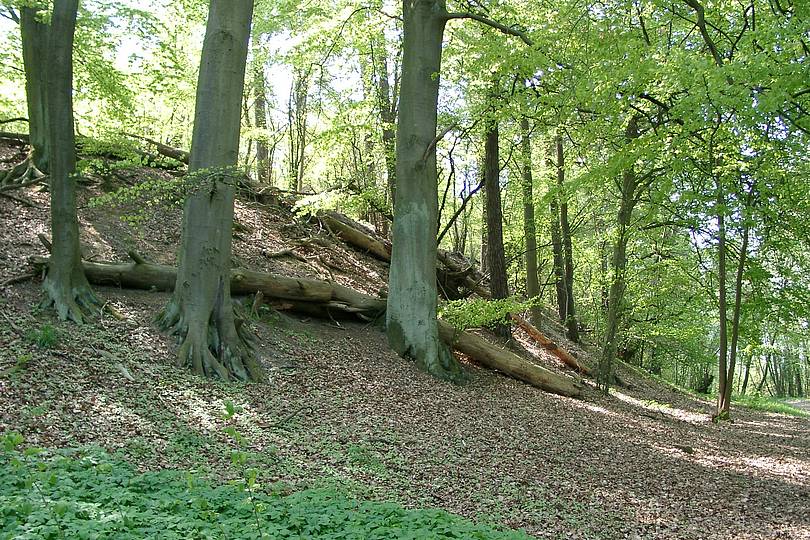 am Waldweg