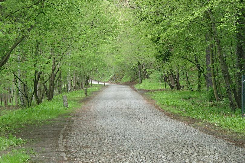 Waldweg