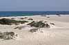 D�nen von Corralejo