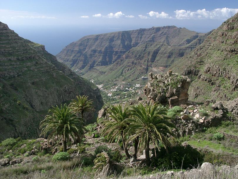 Valle Gran Rey mit Palmen