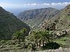 Valle Gran Rey mit Palmen