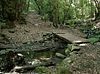 Holzbr�cke