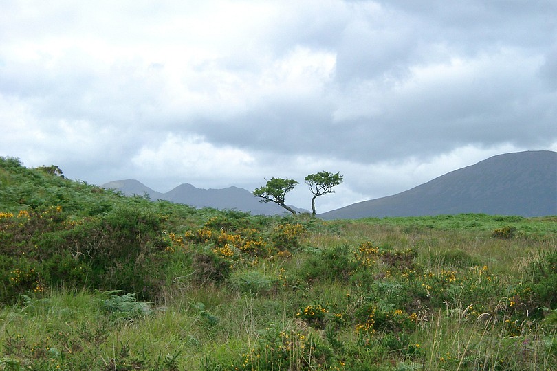 im Killarney National Park