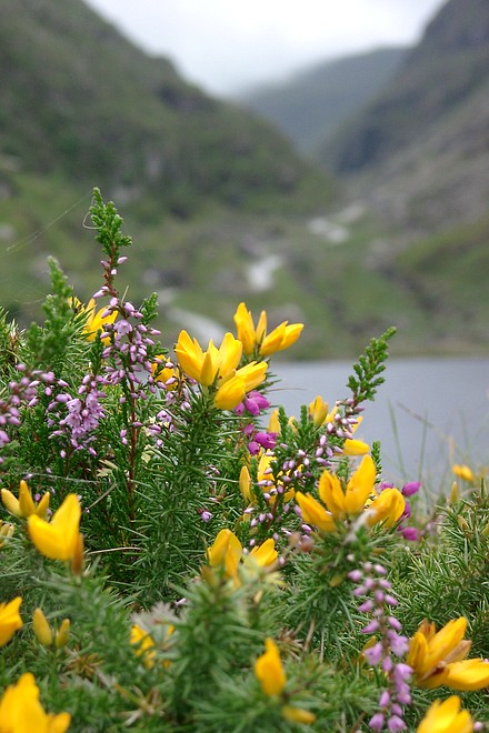 Gap of Dunloe