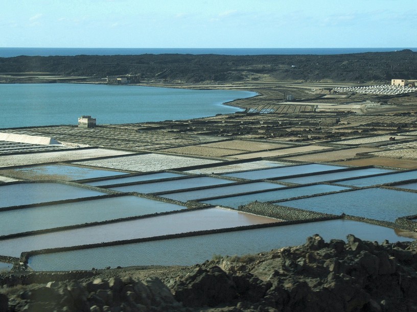 Salinas de Janubio