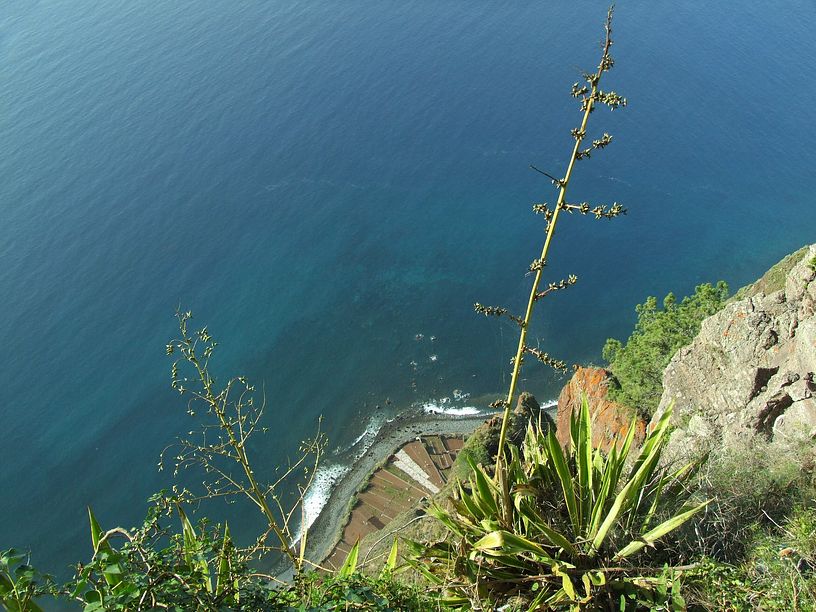 Cabo Gir�o