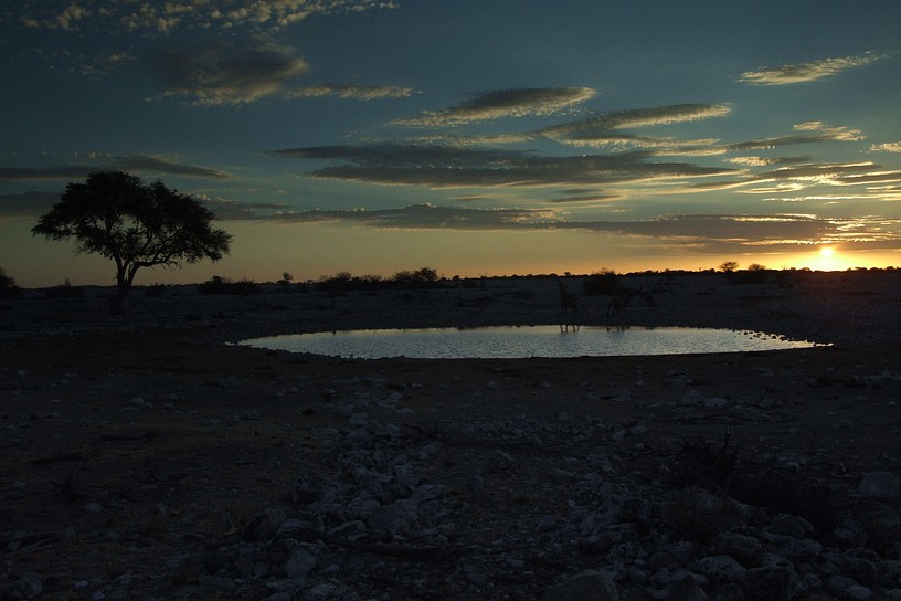 Wasserstelle am Abend