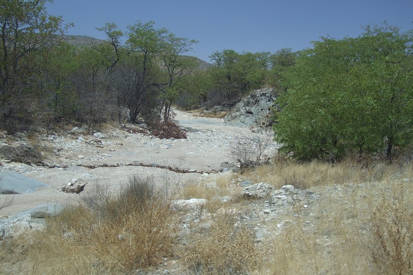 Revier (ausgetrocknetes Flussbett)