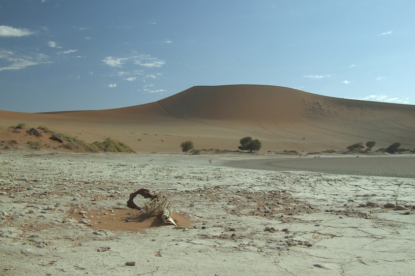 Dead Vlei 1
