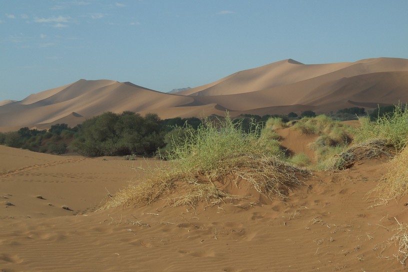 Sossusvlei, Strand ohne Meer