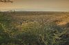 abendliche Landschaft
