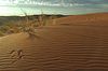 Spuren im Sand