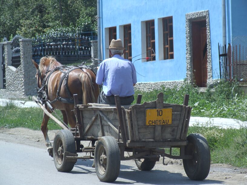 Pferdewagen