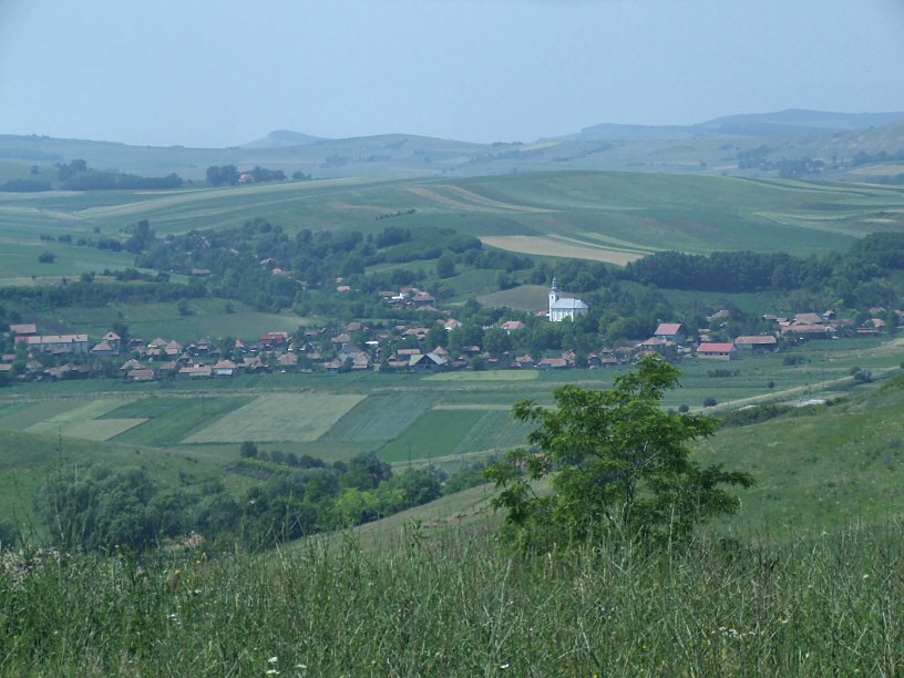 Bei Reghin