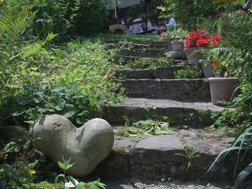 im Pfarrgarten in Sch��burg