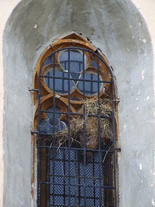 Vogelnest am Kirchenfenster