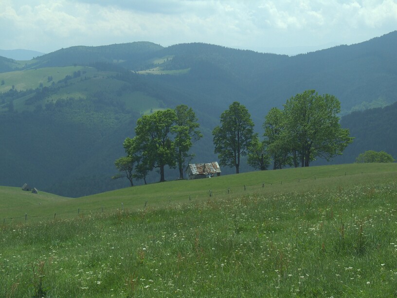 an der Hohen Rinne