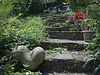 im Pfarrgarten in Schäßburg