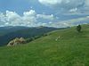 Traumwiese auf der Hohen Rinne