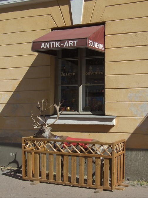 Rentierdekoration