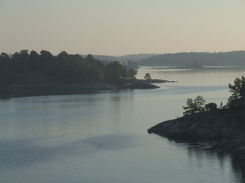 Sch�ren im Morgennebel