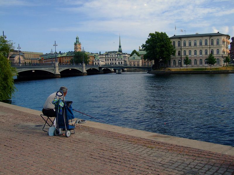 Br�cke Vasabron, Insel Str�msborg