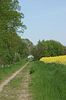 Feldweg