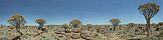 Köcherbaumwald, Namibia