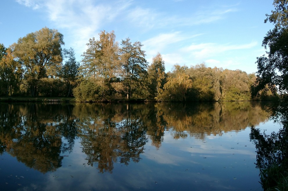 Herbstspiegelung