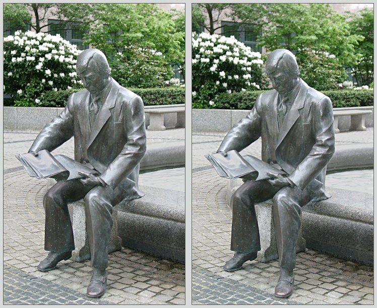 Anikas Fotos Stereo Leser in Berlin