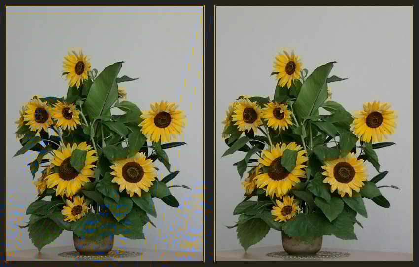 Sonnenblumenstrau�