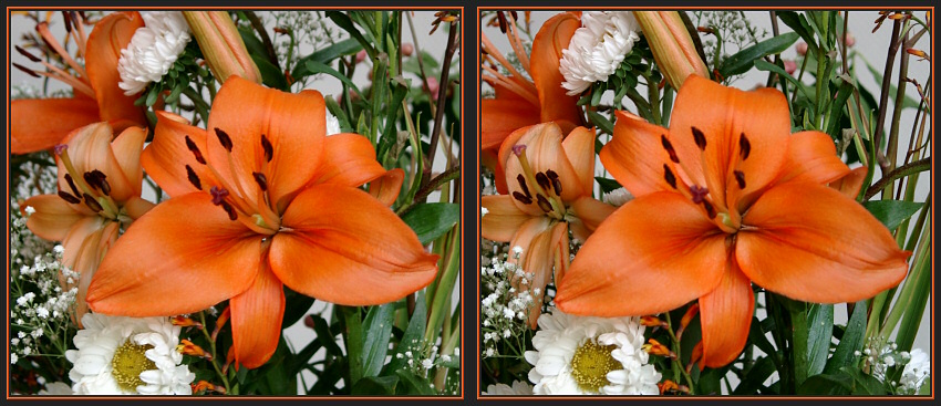 einzelne orange Bl�te eines Blumenstrau�es
