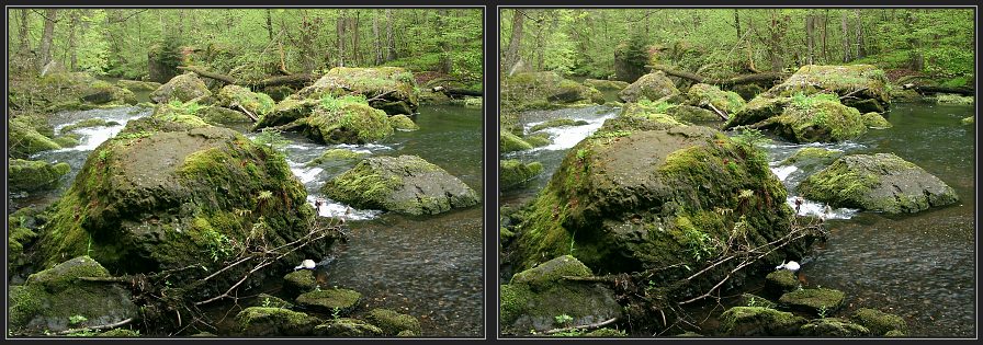Moossteine im Bachlauf