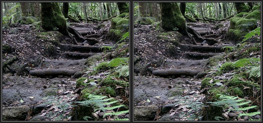 Naturtreppe