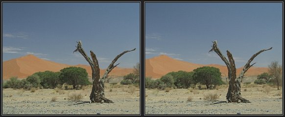 Namibia 3D