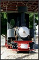 Schmalspurlokomotive