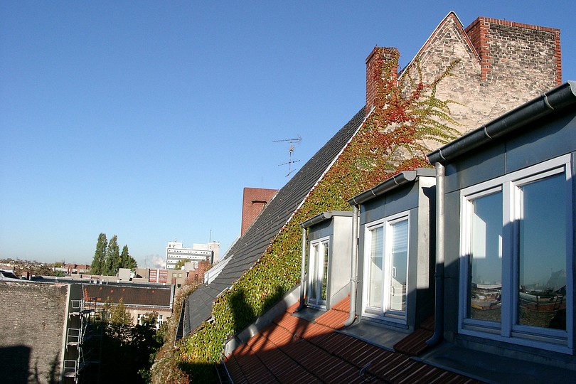 Schatten auf dem Dach