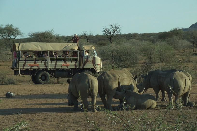 Nash�rner und Jeep