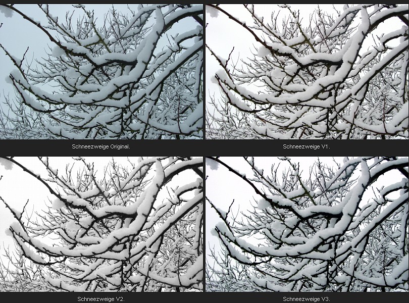 Schneezweige Bearbeitungsvariationen