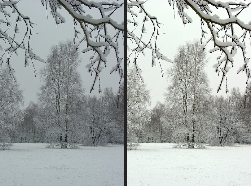 Schneebirke original und bearbeitet
