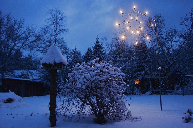 Garten im Winter
