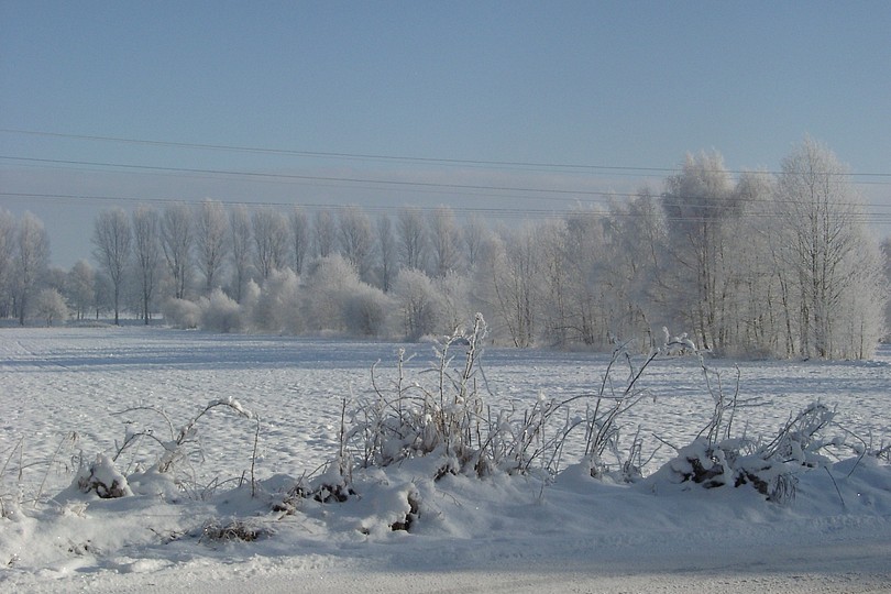 Winterfeld
