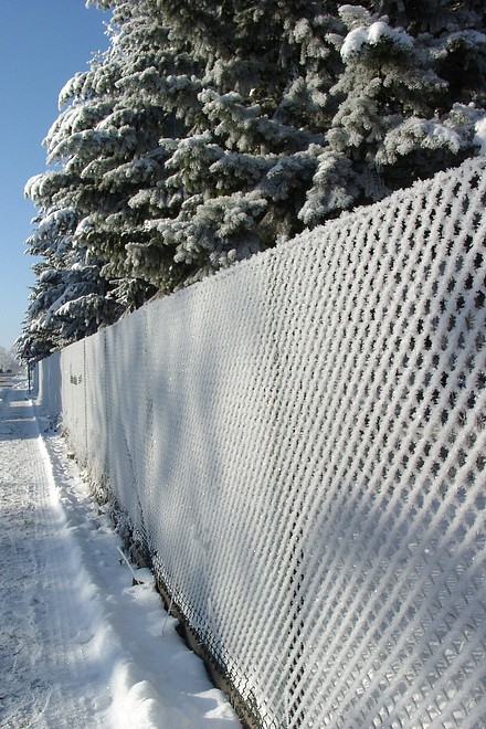 Winterzaun