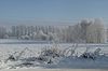 Winterfeld